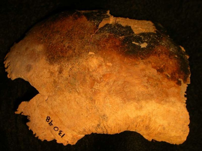 Fragmento de un cráneo con marcas de quemaduras. Foto: Historic England